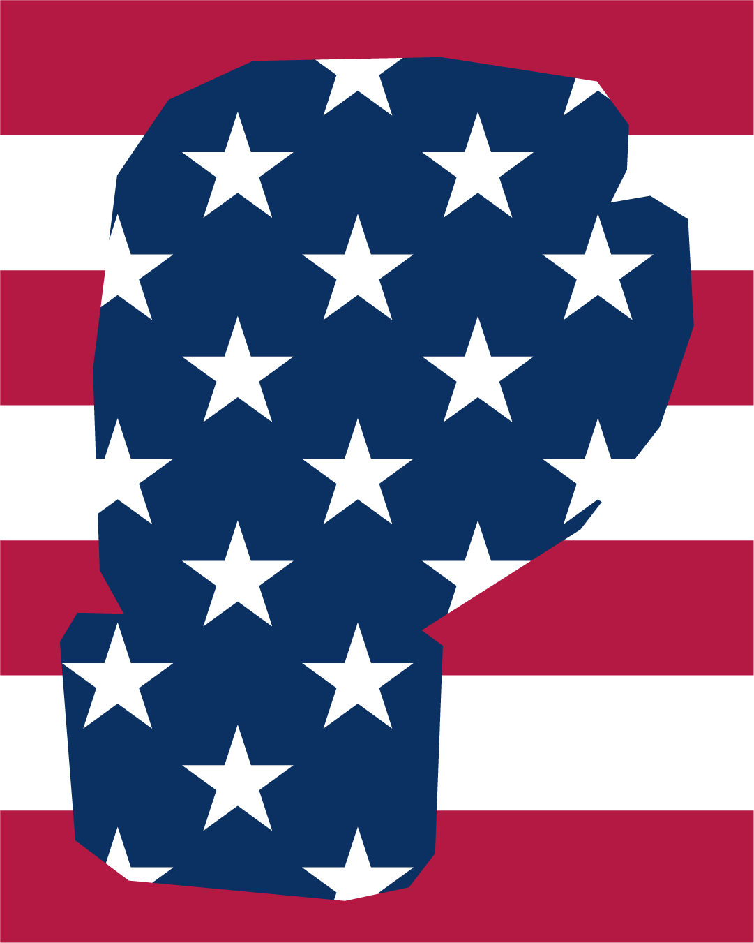 Have we woken up from the American dream?